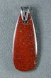 Red Agatized Dinosaur Gembone Pendant #22534-1